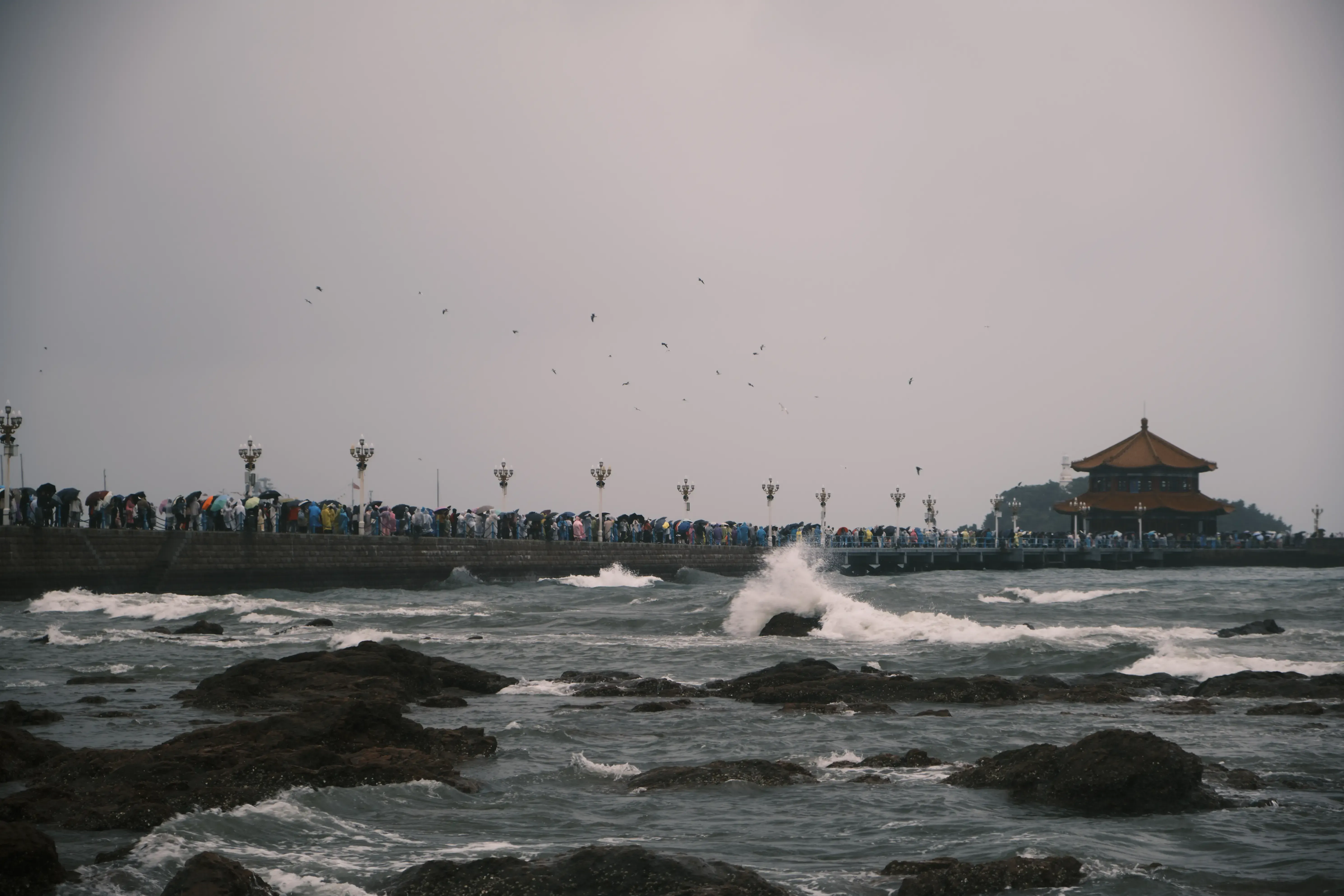 游记 - 2025 - 青岛