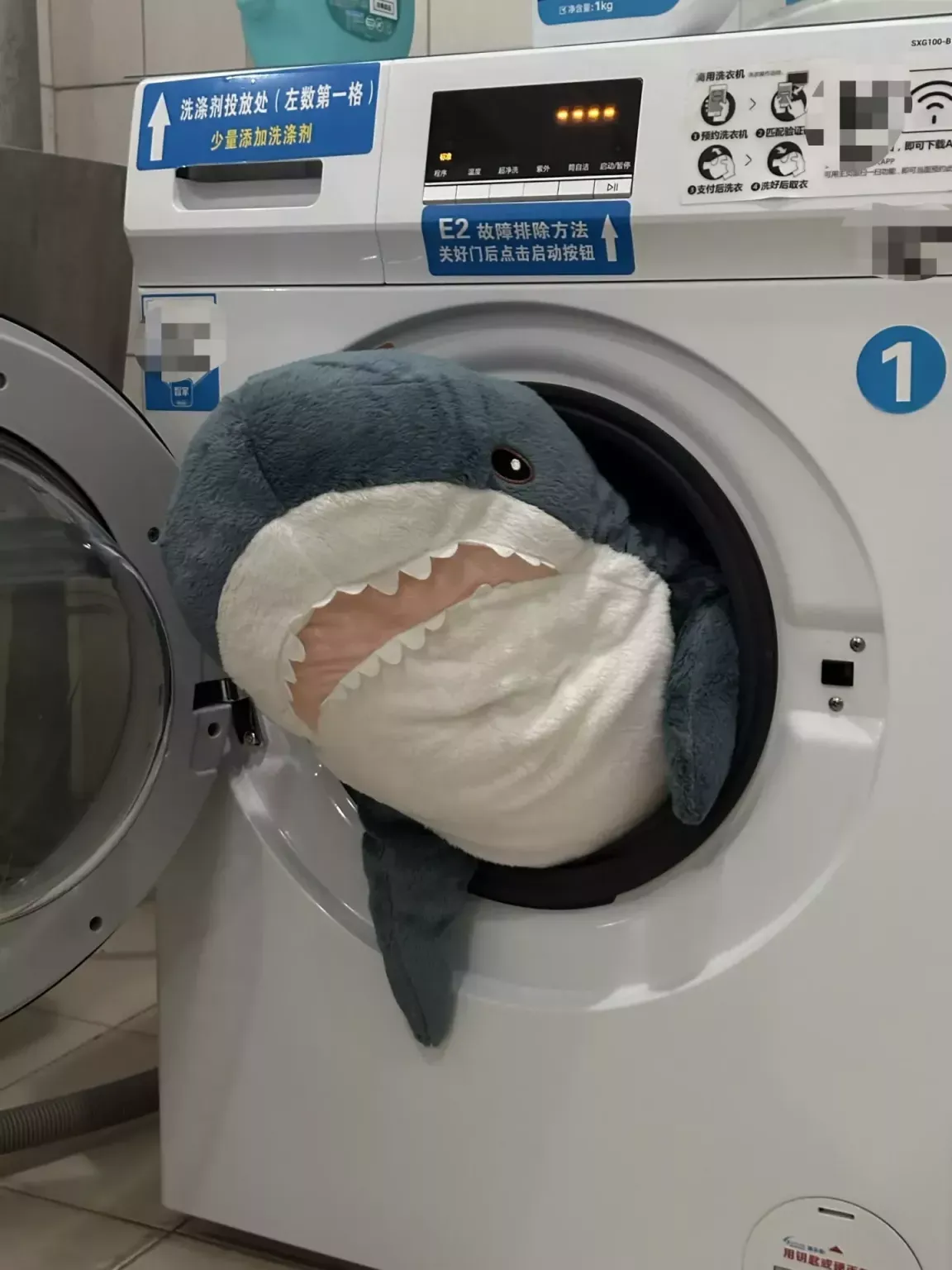 我为什么选择转专业 & 2024回首